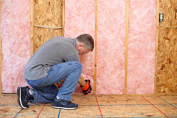 Best Professional Insulation Contractor  in Port Monmouth, NJ